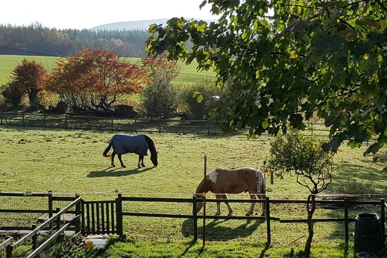 Stuc An T Sagairt Cottage , Loch Lomond Drymen Buitenkant foto